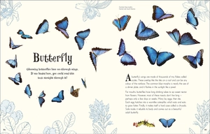 an anthology of intriguing animals - Ảnh 8