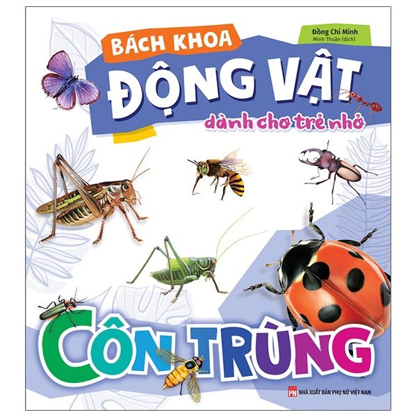 Bách Khoa Động Vật Dành Cho Trẻ Nhỏ - Khủng Long (Tái Bản 2026) - Ảnh 8