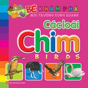bé khám phá môi trường xung quanh - các loài chim (tái bản 2024) - Ảnh 2