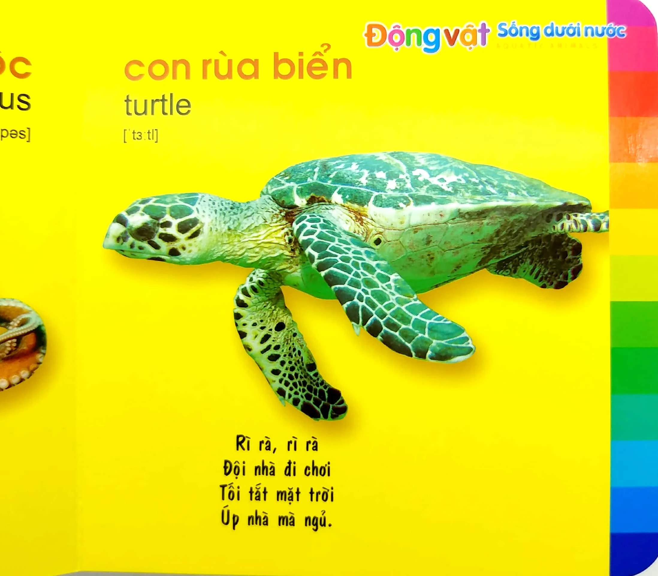 Bé Khám Phá Môi Trường Xung Quanh - Động Vật Sống Dưới Nước - Bìa Cứng (Tái Bản 2026) - Ảnh 3