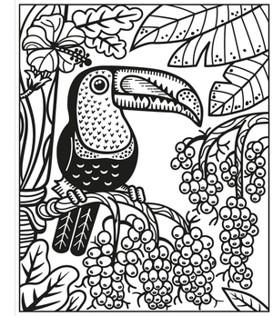 birds magic painting book - Ảnh 3