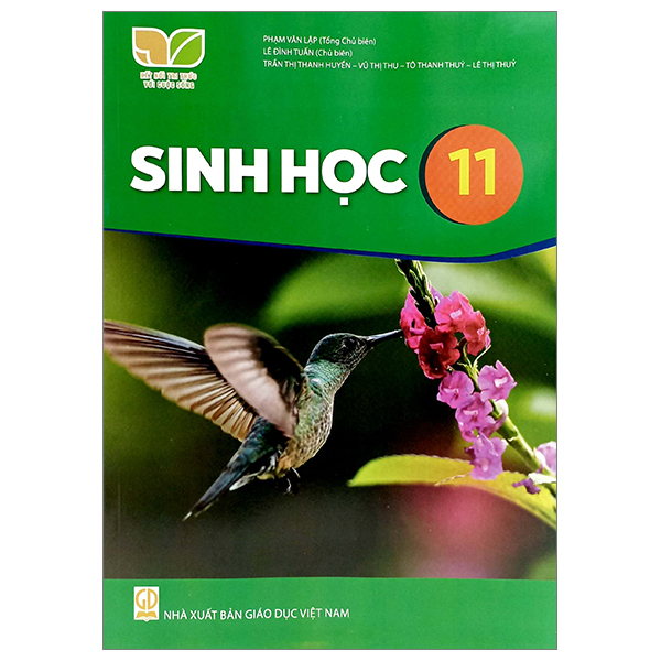 Bộ Bài Tập Ngữ Văn 11 - Tập 2 (Kết Nối) (Chuẩn) - Ảnh 52