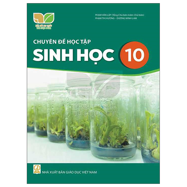 Bộ Chuyên Đề Học Tập Âm Nhạc 10 (Kết Nối Trí Thức) (Chuẩn) - Ảnh 8