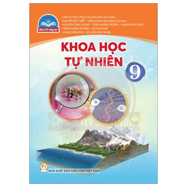 Bộ Mĩ Thuật 9 - Bản 2 (Chân Trời) (Chuẩn) - Ảnh 10