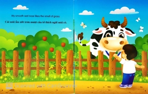 bộ sách những câu chuyện về thế giới loài vật 1 (bộ 6 cuốn) - Ảnh 15