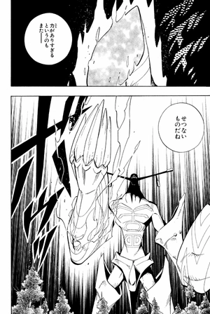 bộ shaman king 23 - Ảnh 9