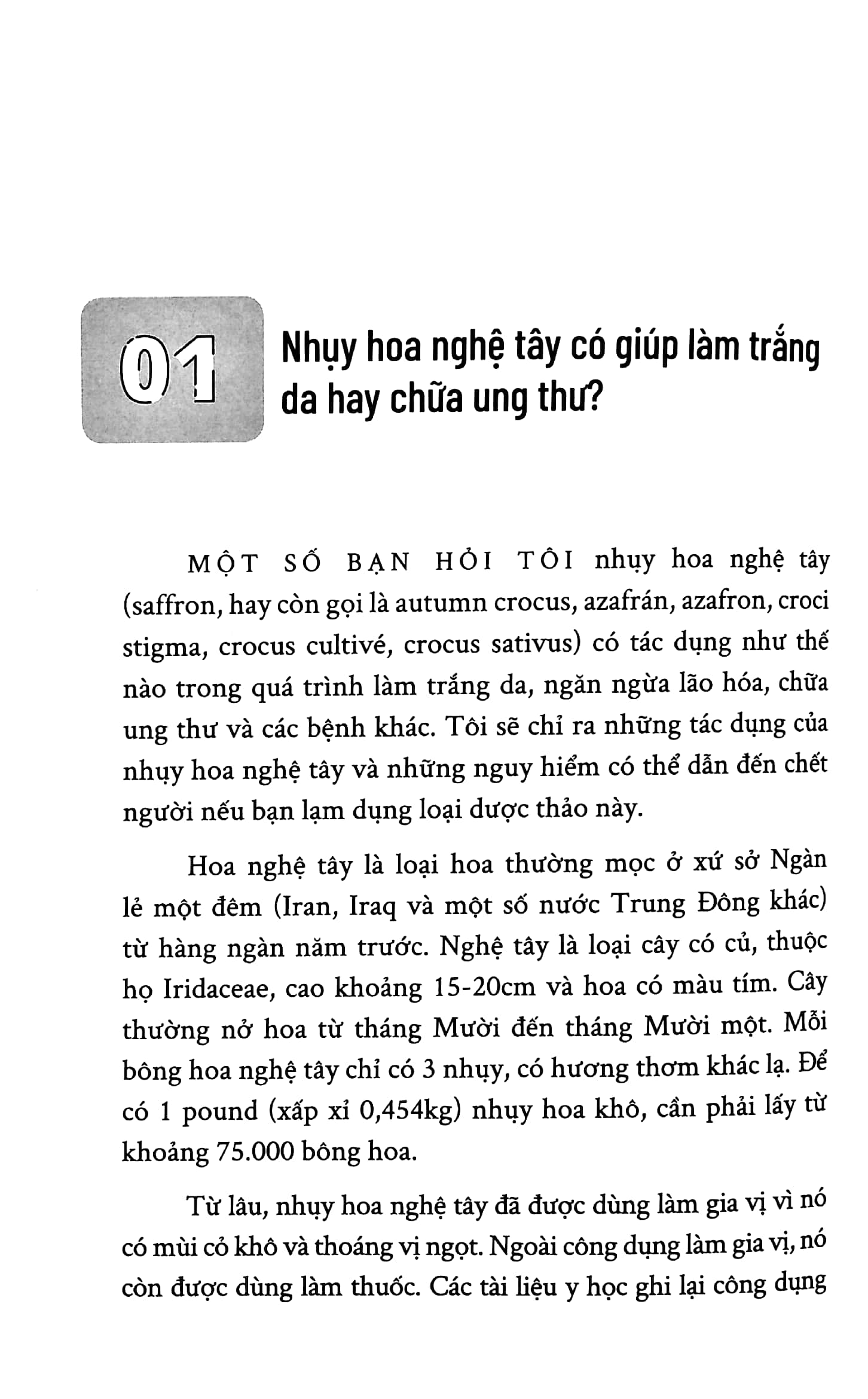 Bo
Trong Phong Cho Voi Bac Si Wynn (Tai Ban) (Mau Bia Giao Ngau Nhien) - Ảnh 6