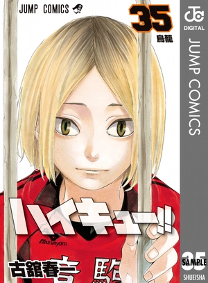 bộ ハイキュー!! 35 - haikyu!! 35 - Ảnh 2
