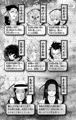 bộ 鬼滅の刃 16 - oni metsu no ha 16 - Ảnh 9