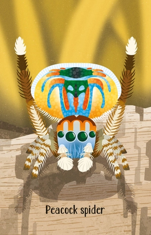 bugs snap - Ảnh 5