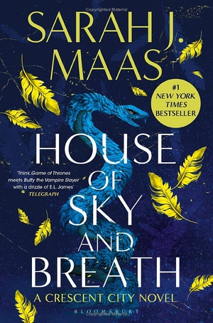 crescent city - book 2 - house of sky and breath - Ảnh 2