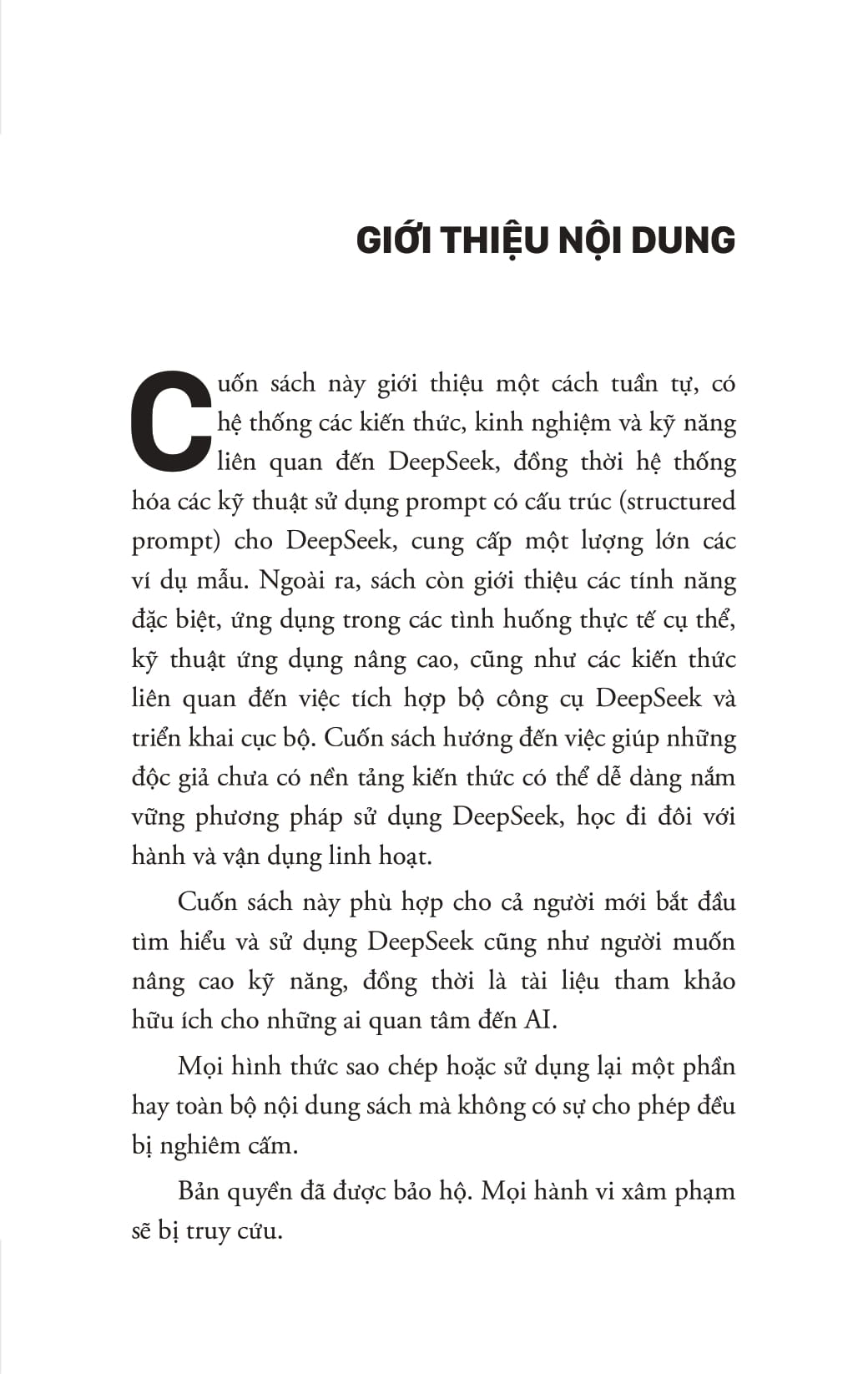 Deepseek Ứng Dụng - Làm Chủ AI Mã Nguồn Mở, Từ Cơ Bản Đến Thực Chiến - Ảnh 7
