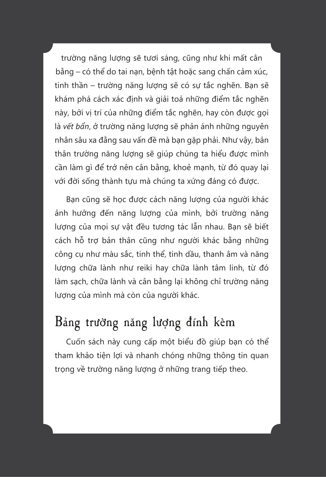 Giải Mã Trường Năng Lượng - Các Kỹ Thuật Ứng Dụng Trường Năng Lượng Vào Chữa Lành Và Phát Triển Bản Thân - Ảnh 10