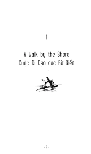 hoàng tử biển - Ảnh 4