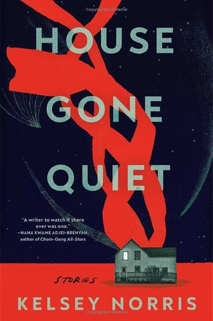 house gone quiet - Ảnh 2