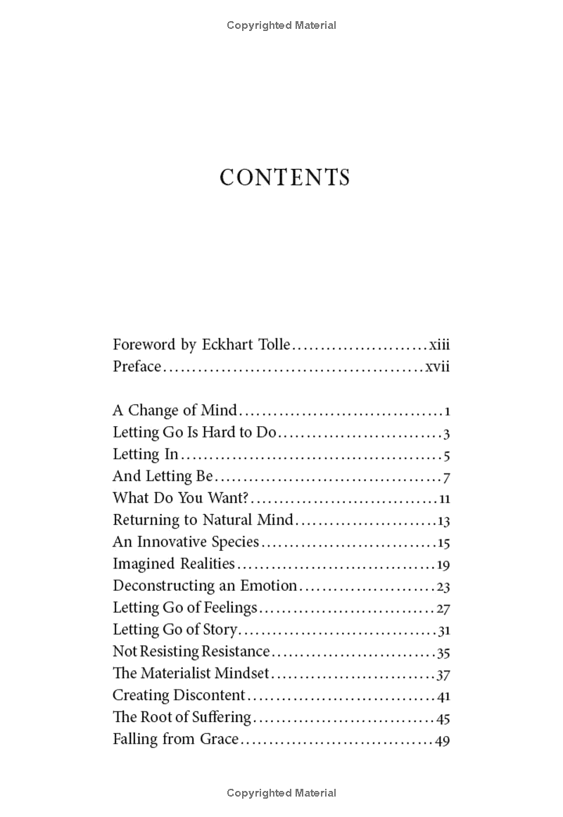 letting go of nothing: relax your mind and discover the wonder of your true nature (an eckhart tolle edition) - Ảnh 3