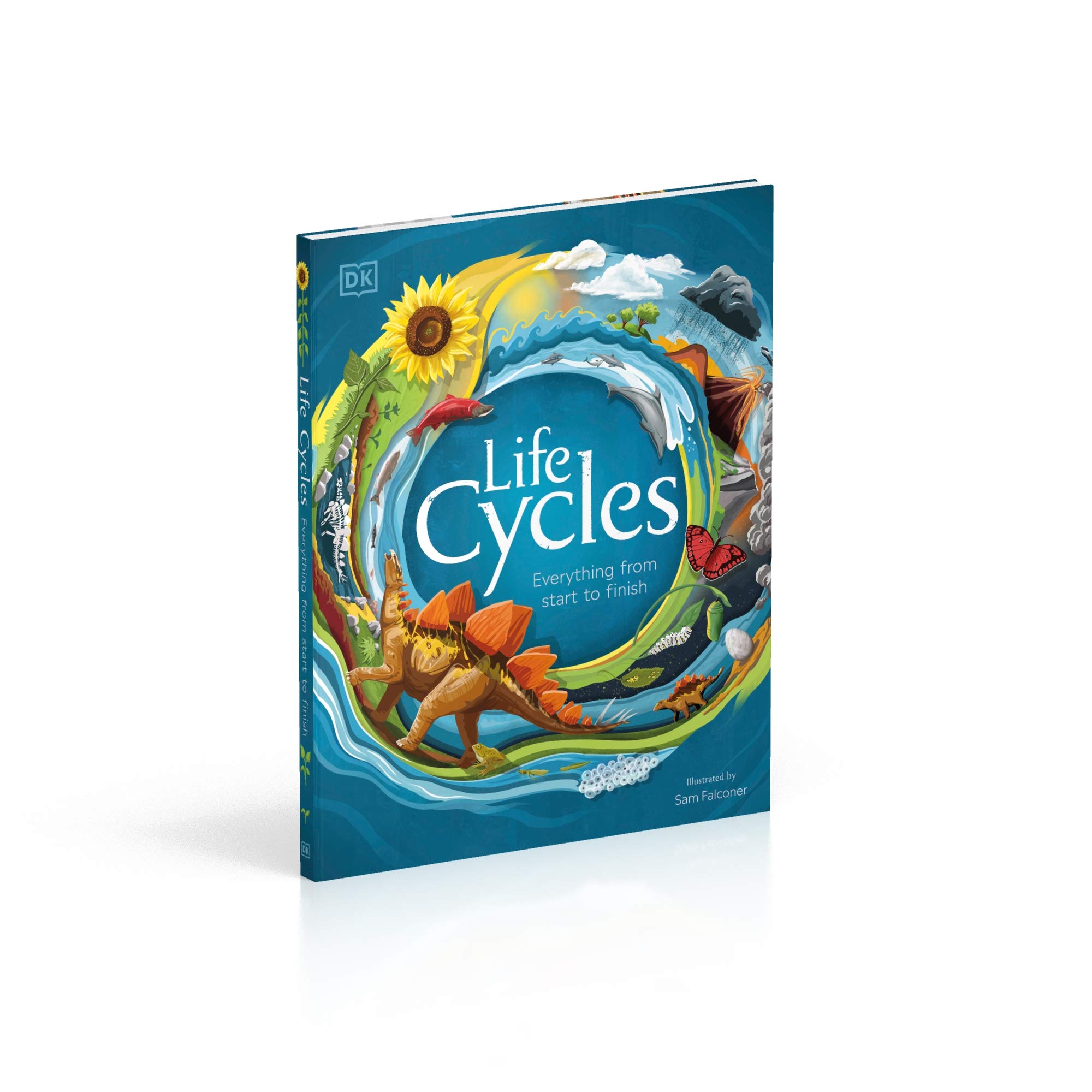 life cycles: everything from start to finish - Ảnh 9