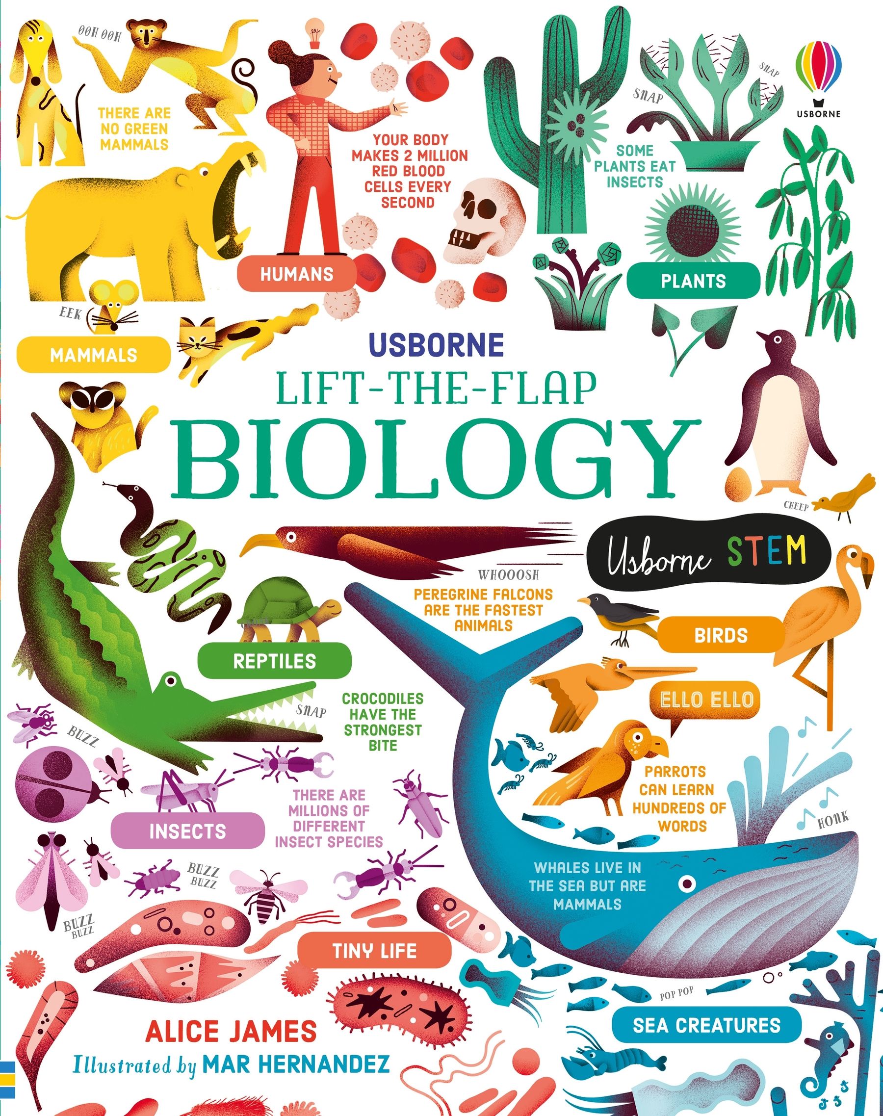 lift-the-flap biology - Ảnh 2