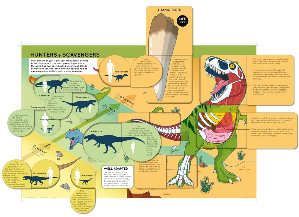 lift the flaps: dinosaurs - Ảnh 4