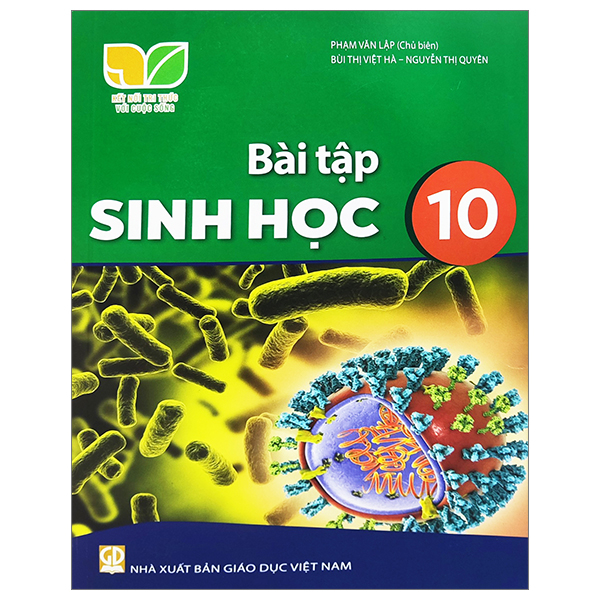 Mi Thuat 10 - Hoi Hoa (Ket Noi Tri Thuc) (Chuan) - Ảnh 22