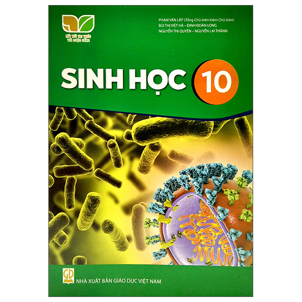 Mi Thuat 10 - Thiet Ke Mi Thuat Da Phuong Tien (Ket Noi Tri Thuc) (Chuan) - Ảnh 13