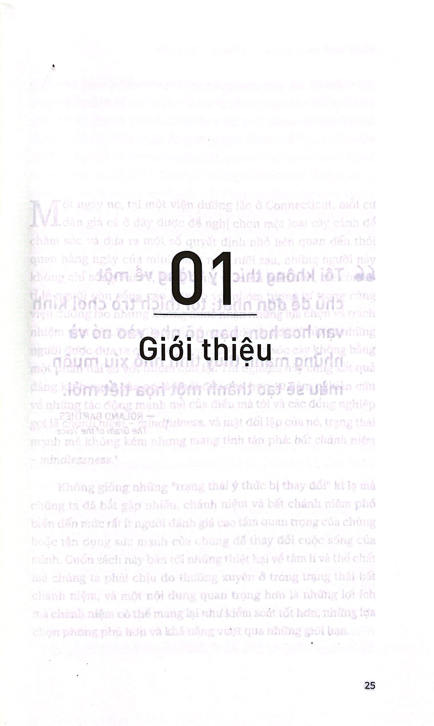 mindfulness - sống tỉnh thức và thực hành chánh niệm - Ảnh 4