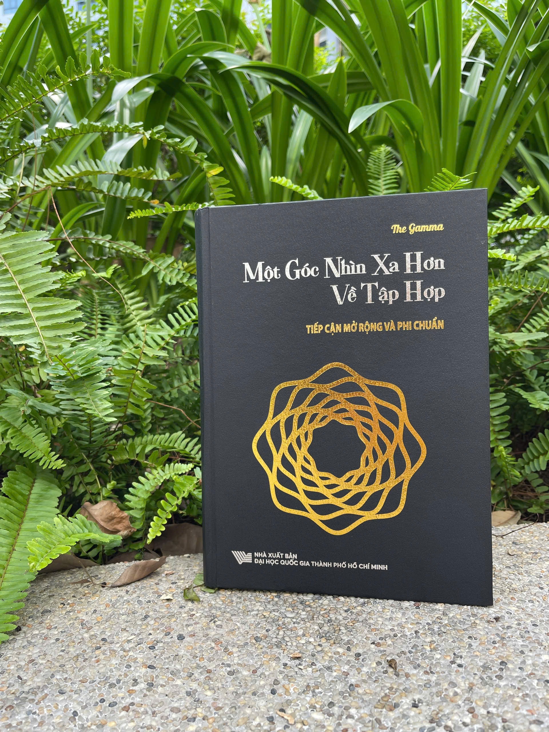 Một Góc Nhìn Xa Hơn Về Tập Hợp - Tiếp Cận Mở Rộng Và Phi Chuẩn - Bìa Cứng - Ảnh 2