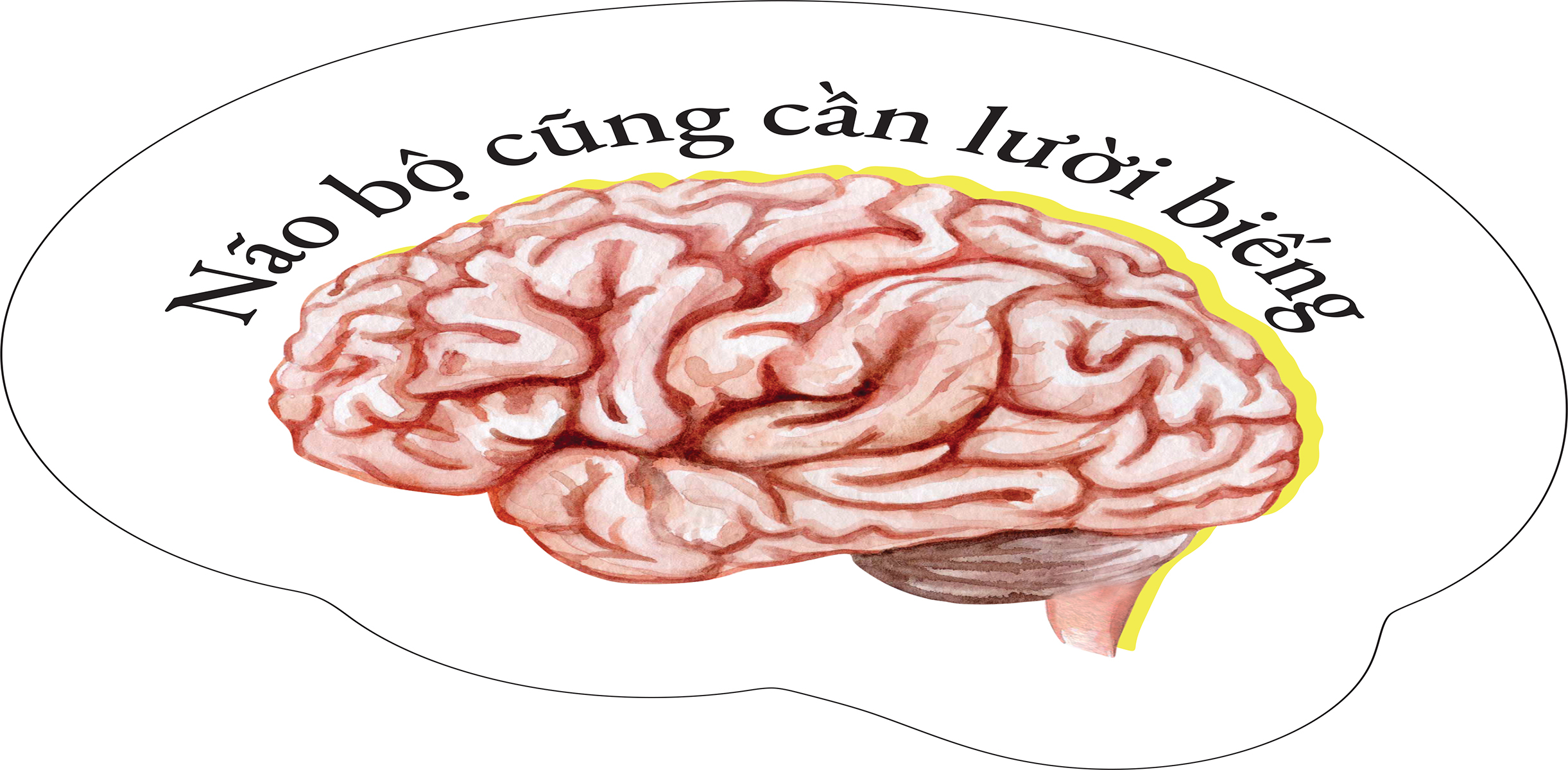 Não Bộ Cũng Cần “Lười Biếng” - Ảnh 4