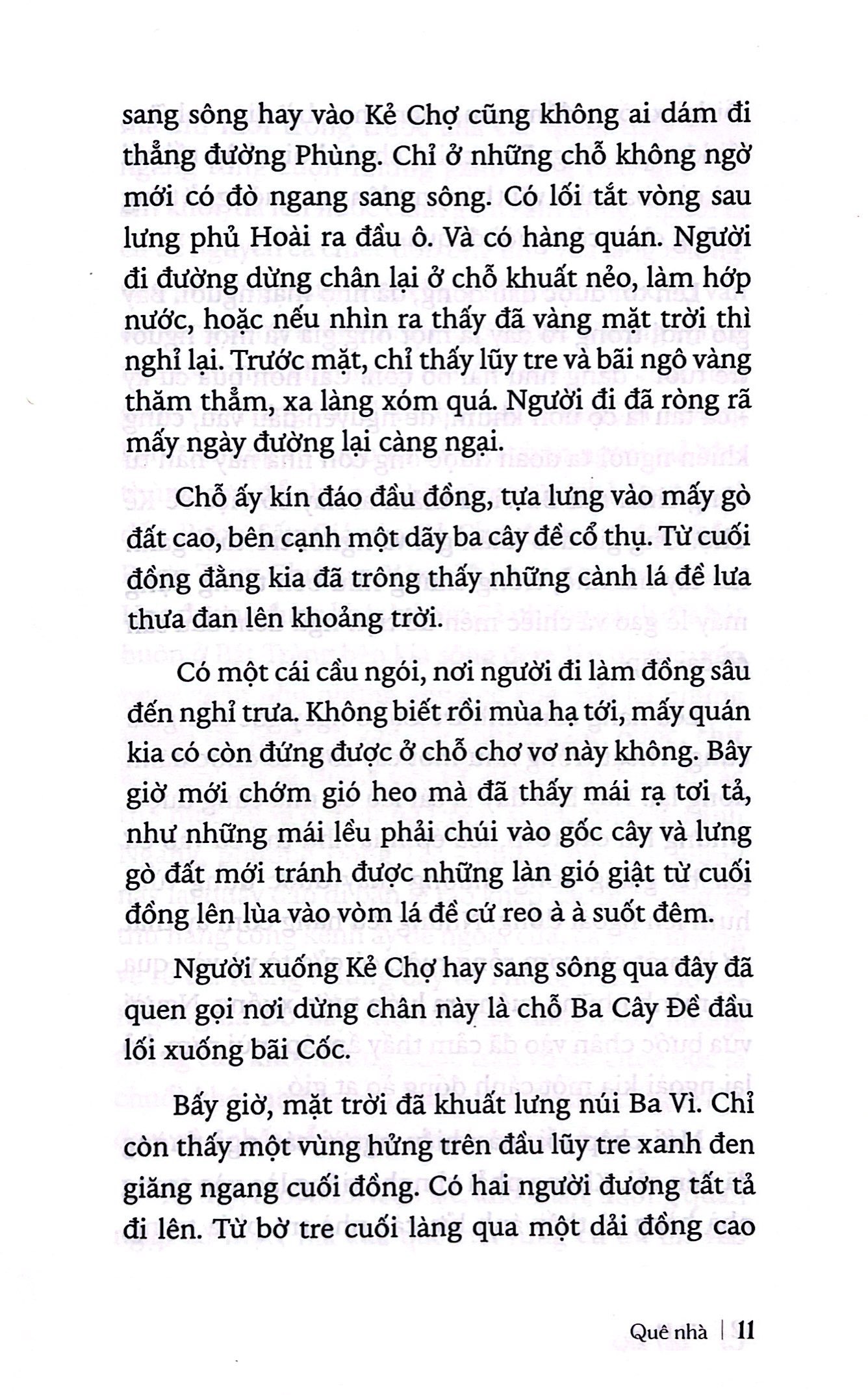 quê nhà - Ảnh 5