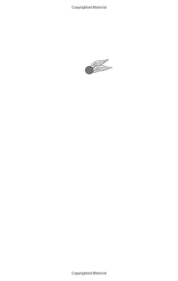 quidditch through the ages-paperback - Ảnh 7