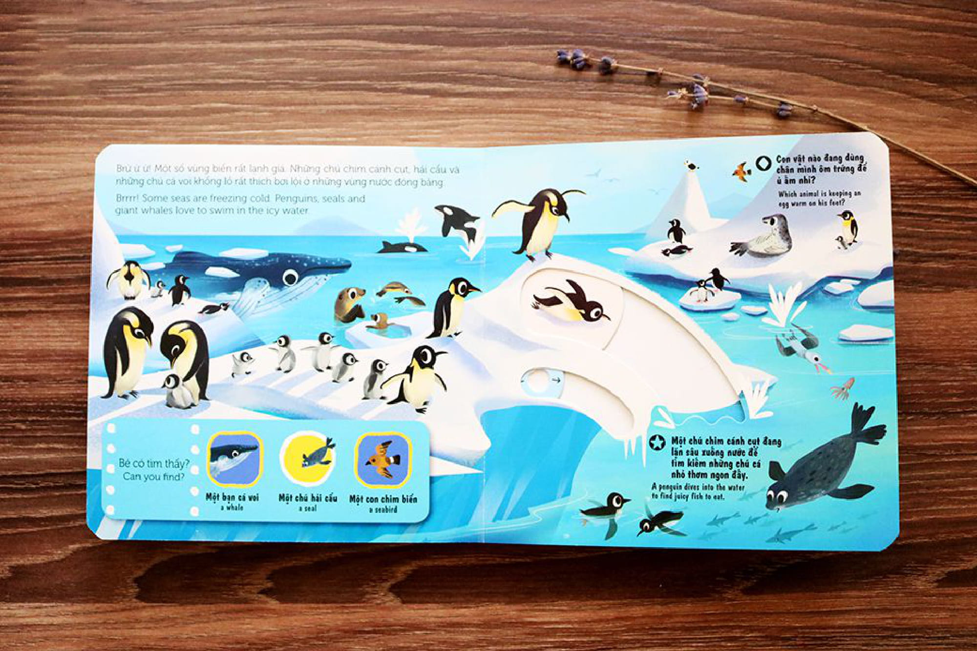 sách chuyển động - first explorers - sea creatures - sinh vật biển - Ảnh 5