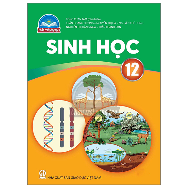 sách giáo khoa lớp 12 - chân trời sáng tạo - chương trình chuẩn (bài học + bài tập) - Ảnh 20