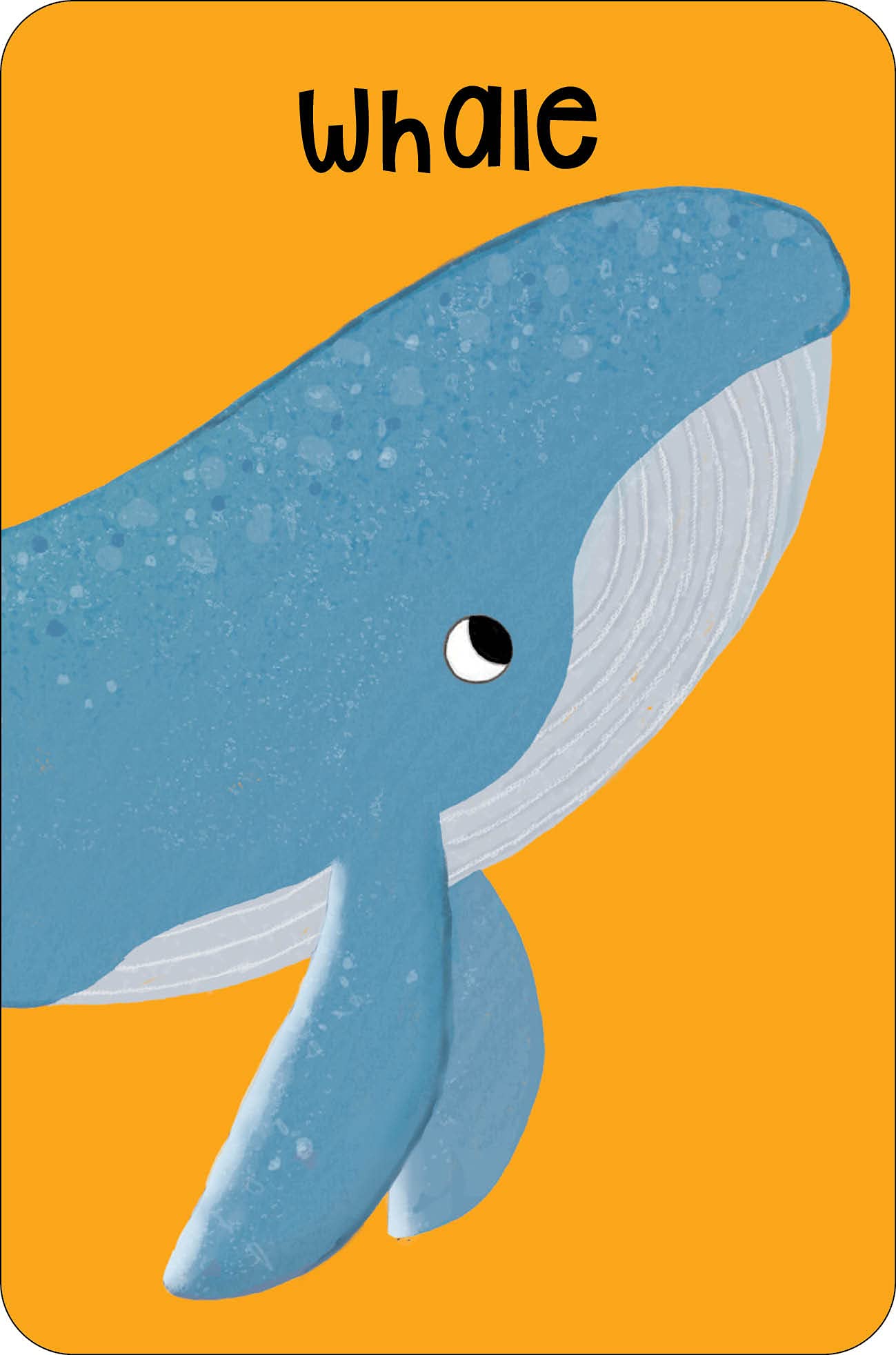 sea snap! - Ảnh 3