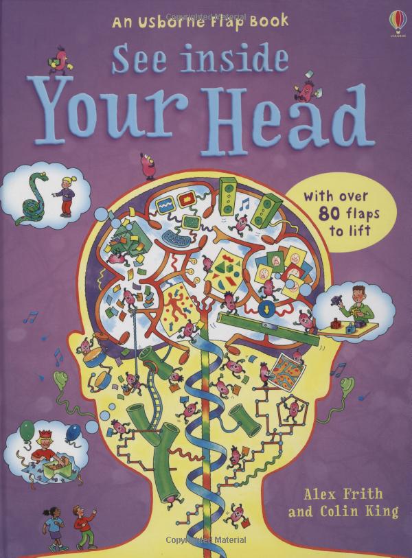 see inside your head - Ảnh 2