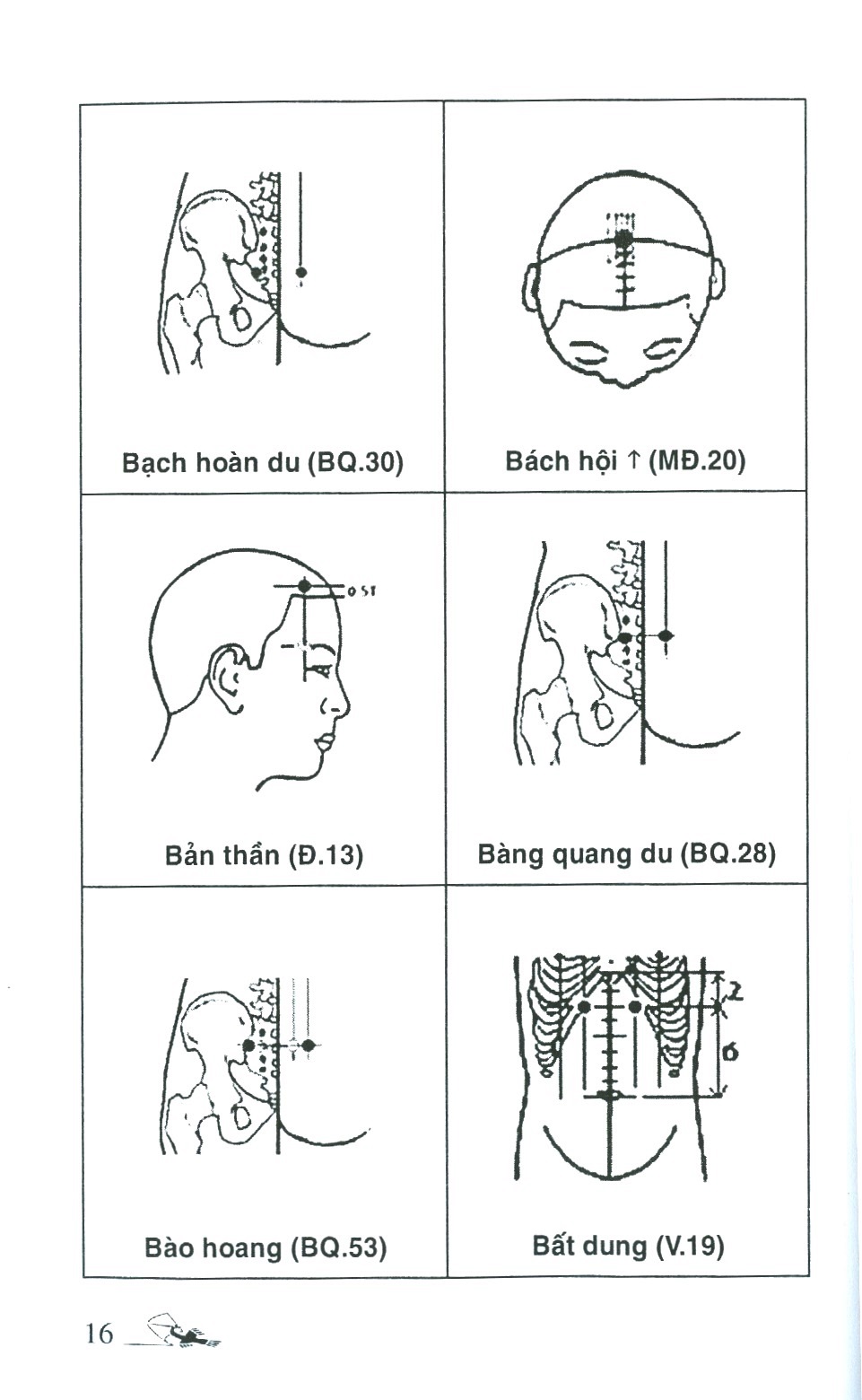 số tay tìm huyệt (tái bản 2019) - Ảnh 6