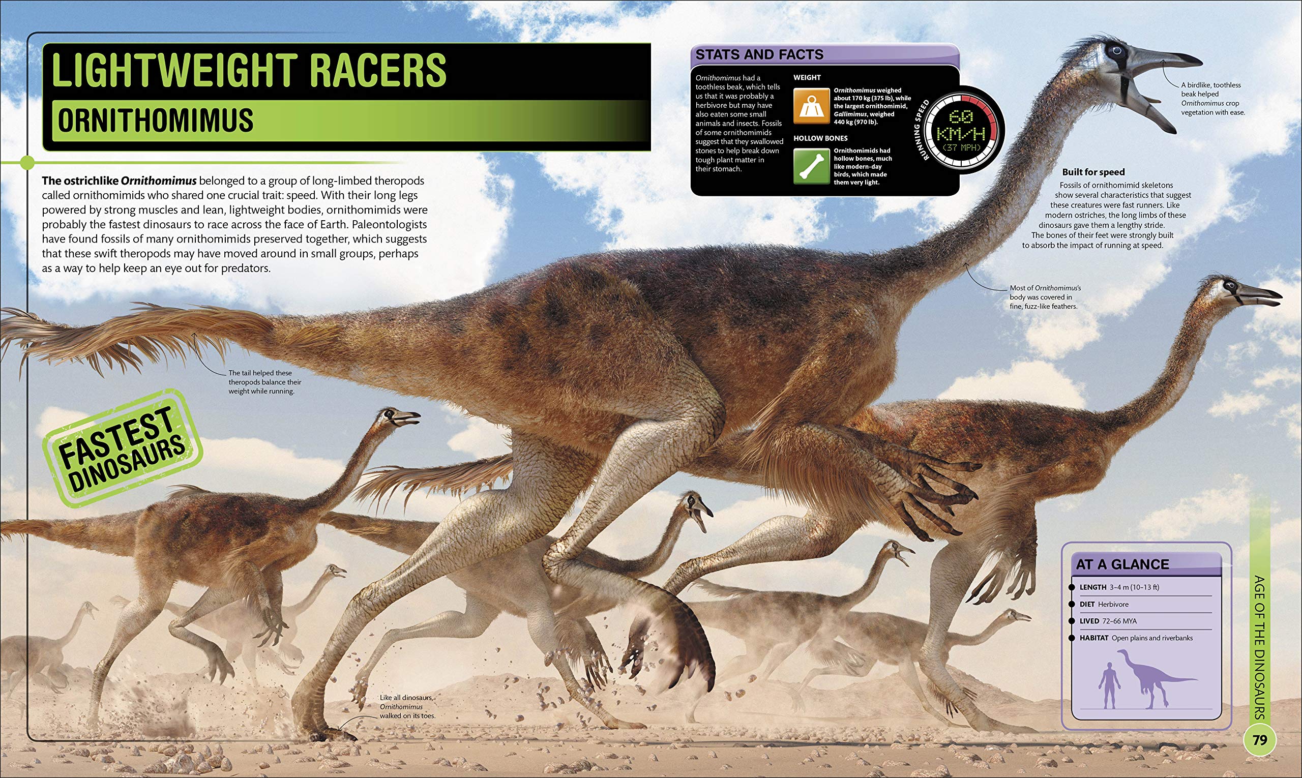 superdinosaur: the biggest, fastest, coolest prehistoric creatures - Ảnh 6