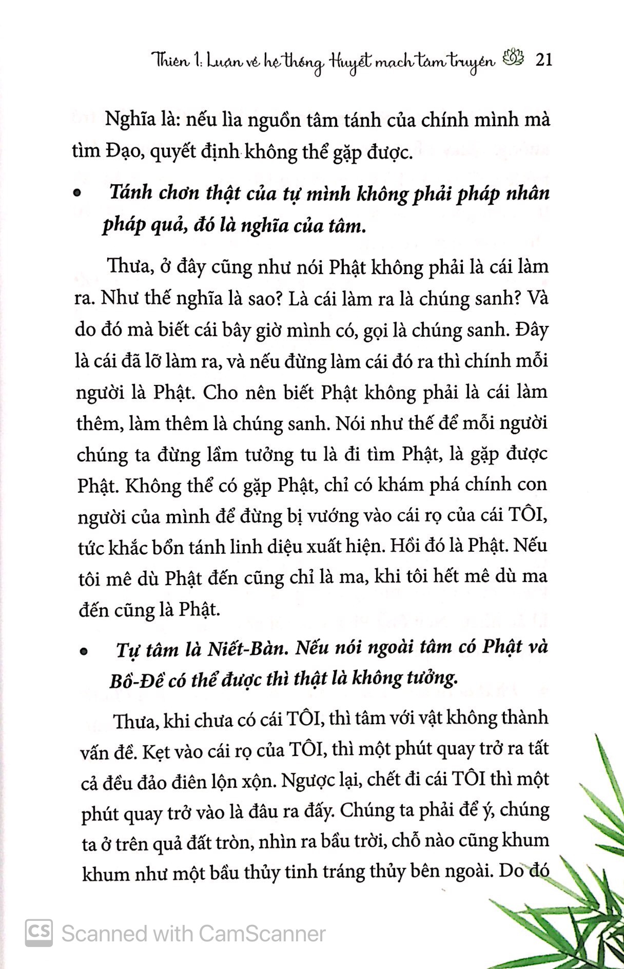 tham thiền - Ảnh 6