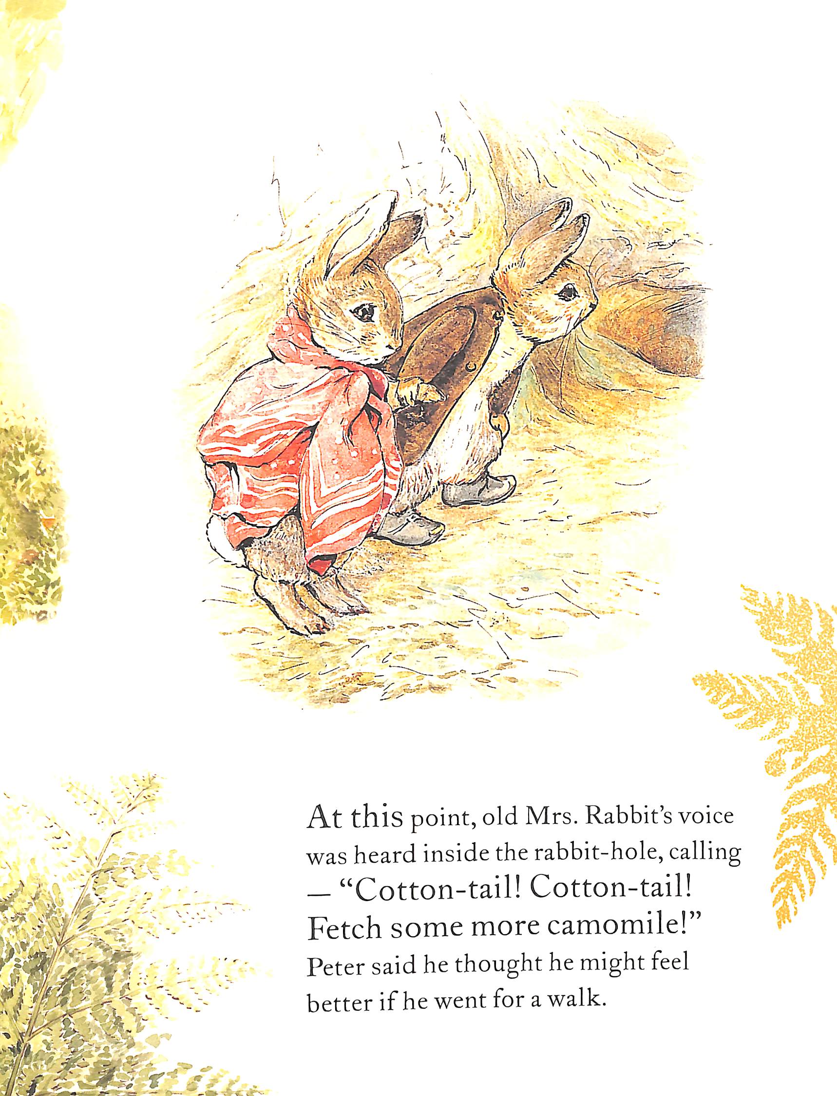 the tale of benjamin bunny picture book - Ảnh 7