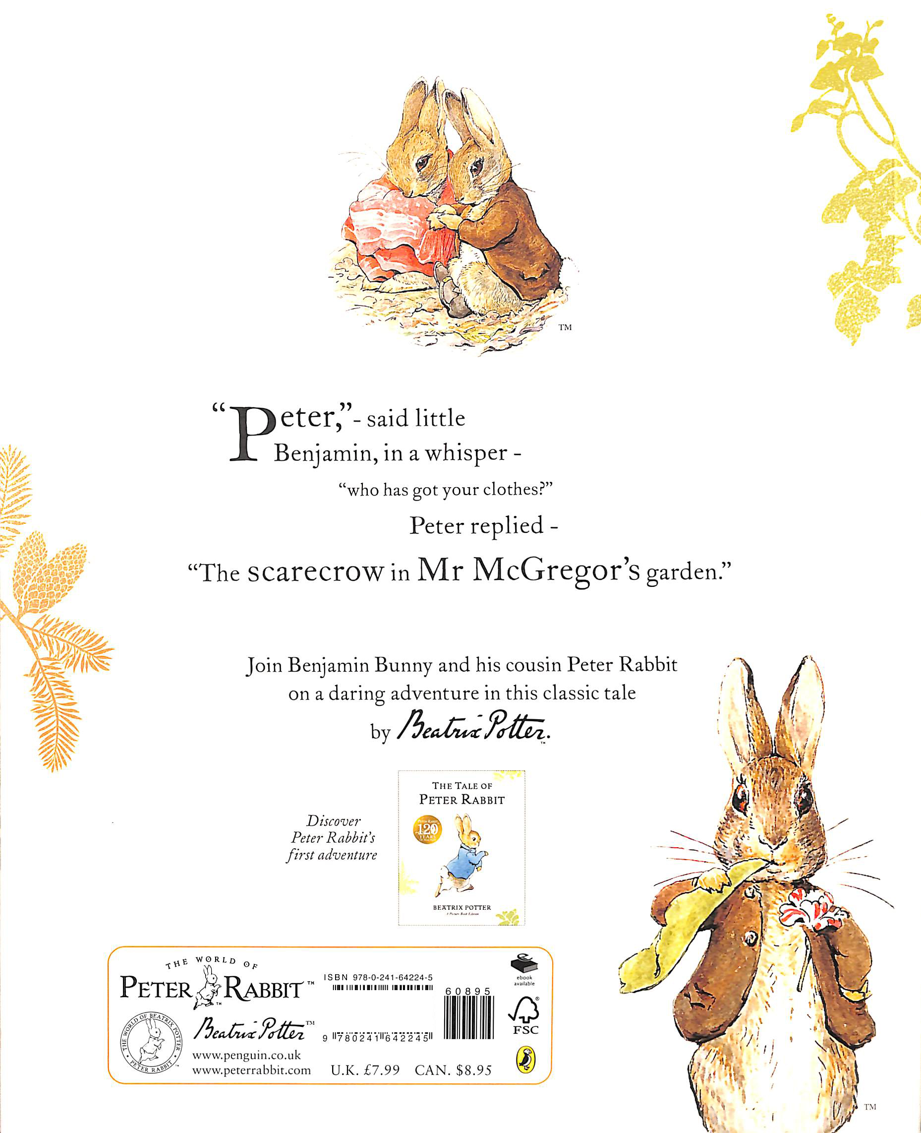 the tale of benjamin bunny picture book - Ảnh 9