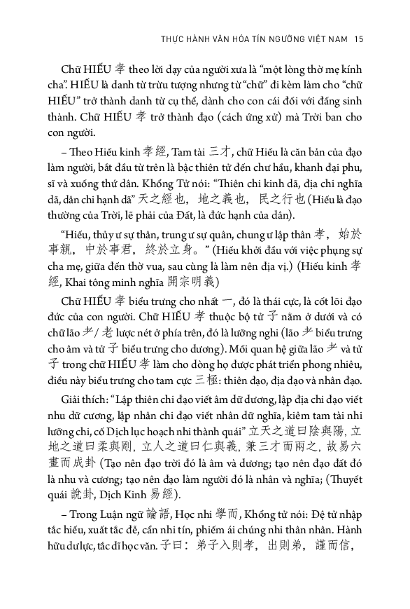 tủ sách triết học phương đông - thực hành văn hóa tín ngưỡng việt nam - Ảnh 14