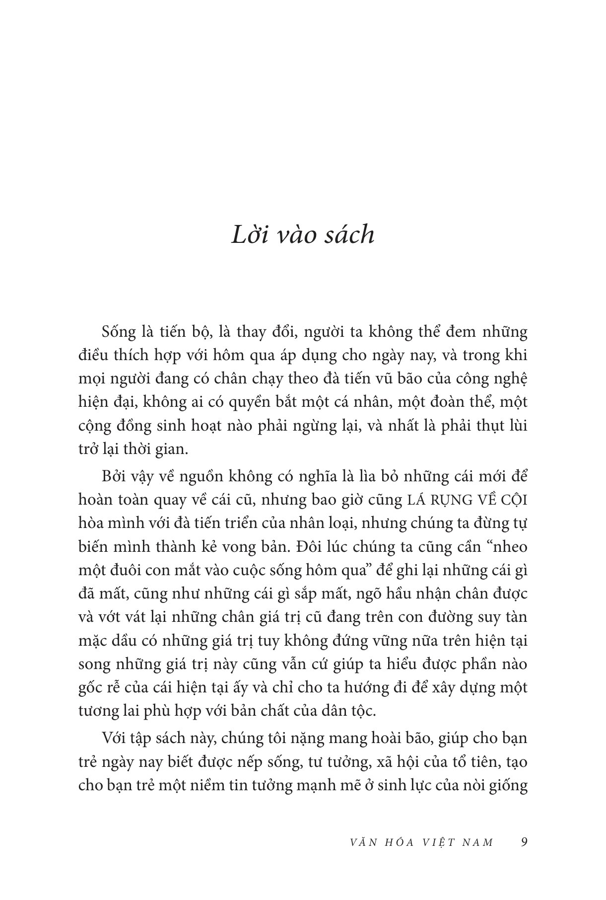 Văn Hóa Việt Nam - Những Nét Đại Cương - Ảnh 5