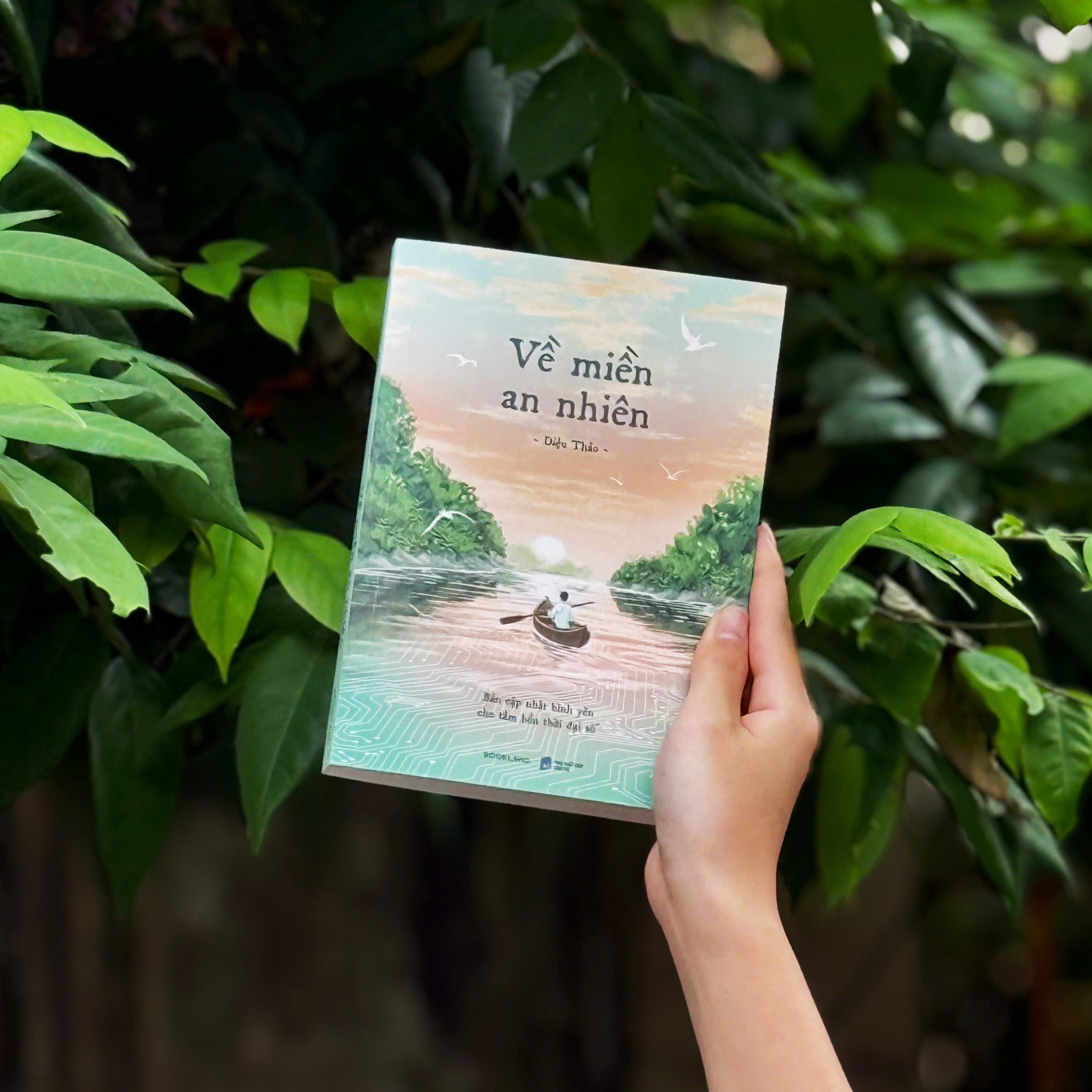 Về Miền An Nhiên - Ảnh 6