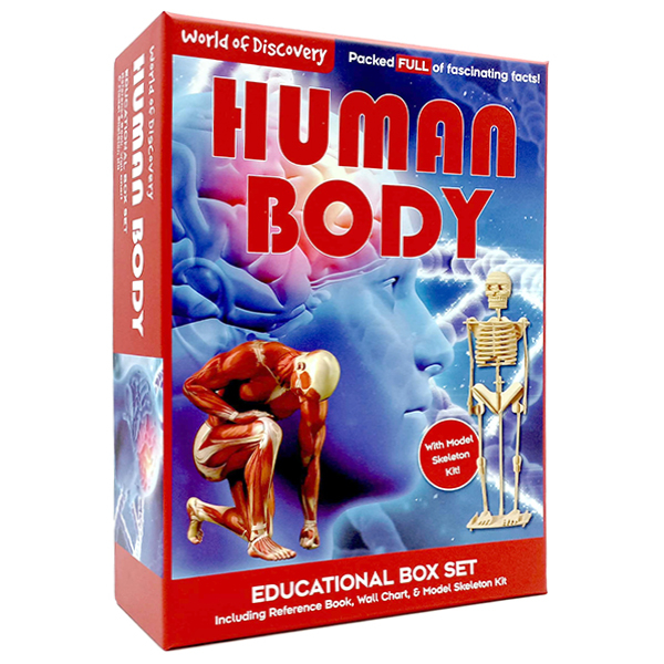 Bìa sách world of discovery: human body