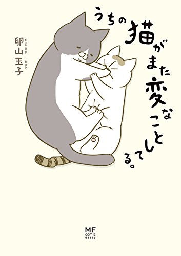 うちの猫がまた変なことしてる。- uchi no neko ga mata hen na koto shiteru. 1 - Ảnh 2